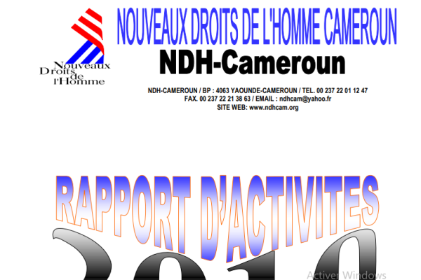 RAPPORT D’ACTIVITÉS  2010