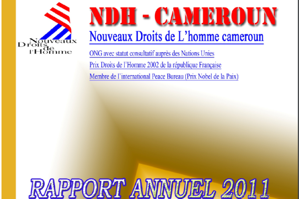 RAPPORT D’ACTIVITÉS 2011