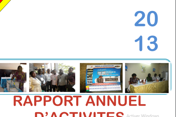 RAPPORT D ACTIVICTES 2013