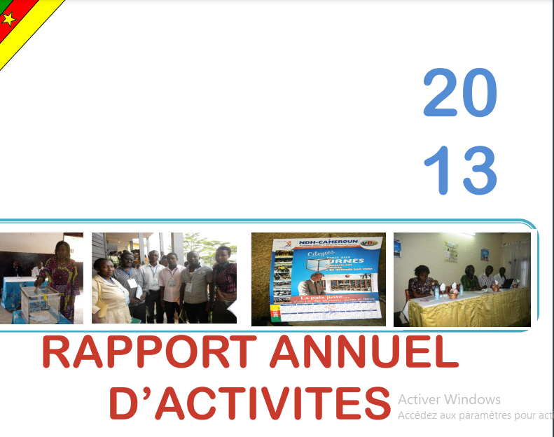 RAPPORT D ACTIVICTES 2013