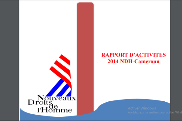 RAPPORT D’ACTIVITES 2014