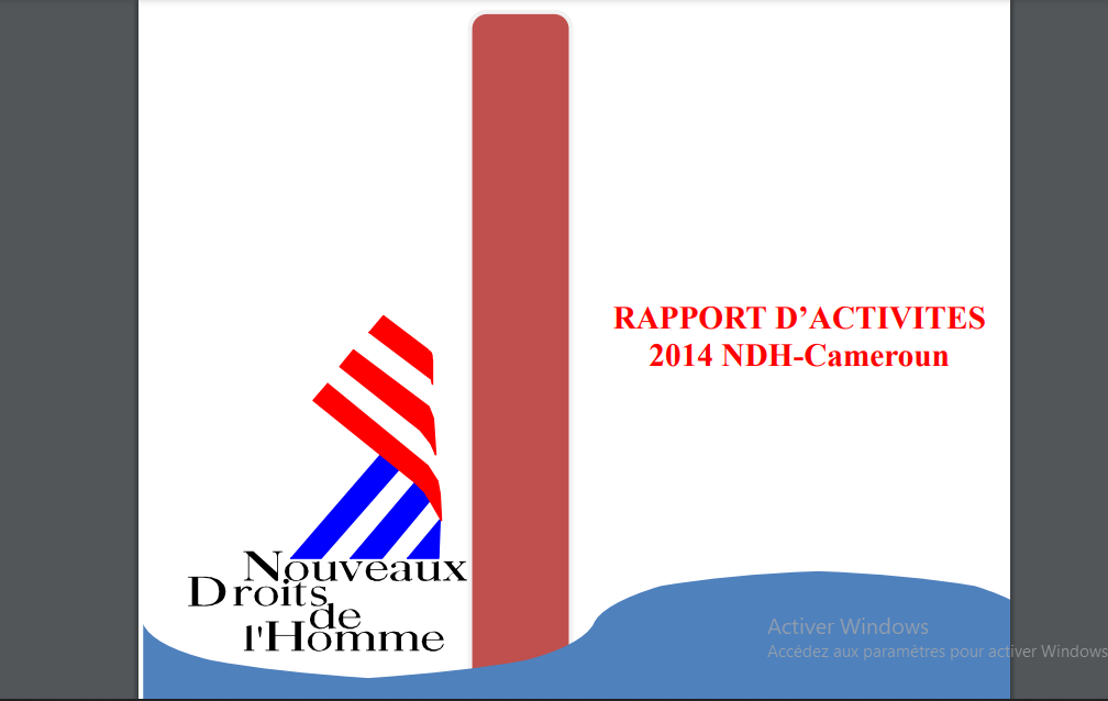RAPPORT D’ACTIVITES 2014