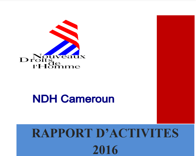 RAPPORT D’ACTIVITES2016