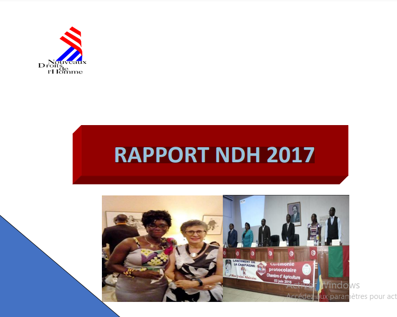 Rapport d’activité 2017