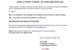 APPEL D’OFFRES PUBLIQUESPOUR LE RECRUTEMENT DE CONSULTANTSAPPEL D’OFFRES PUBLIQUES