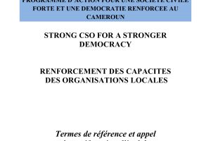 RENFORCEMENT DES CAPACITESDES ORGANISATIONS LOCALES :Termes de référence et appel à manifestation d’intérêt