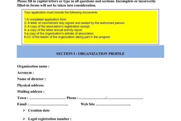 Capacity building for Cameroonian CSOsAPPLICATION FORM