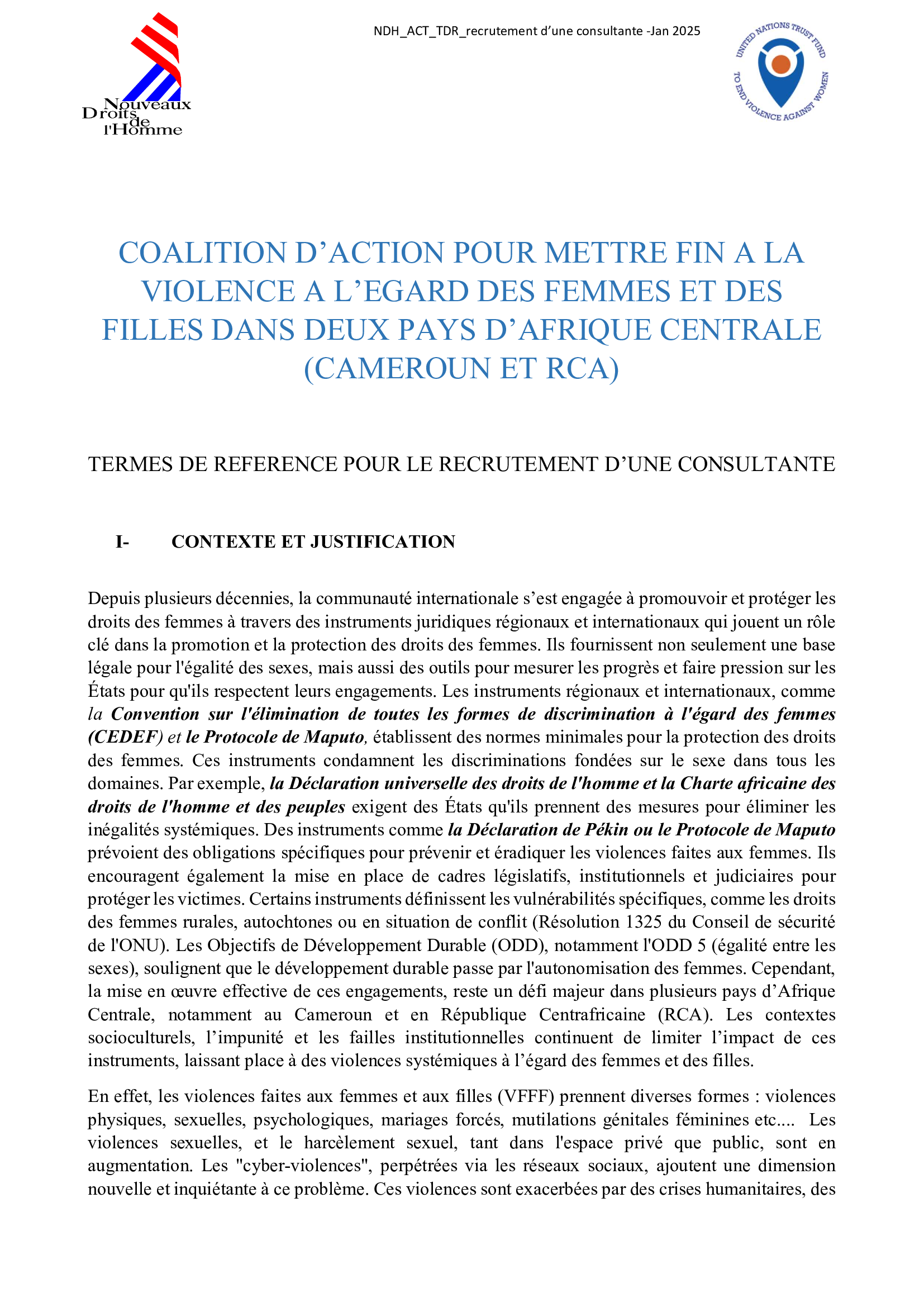 COALITION D’ACTION POUR METTRE FIN A LA VIOLENCE A L’EGARD DES FEMMES ET DESFILLES DANS DEUX PAYS D’AFRIQUE CENTRALE (CAMEROUN ET RCA) : TERMES DE REFERENCE POUR LE RECRUTEMENT D’UNE CONSULTANTE